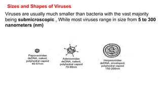 Sizes and Shapes of Viruses
Viruses are usually much smaller than bacteria with the vast majority
being submicroscopic . While most viruses range in size from 5 to 300
nanometers (nm)
 