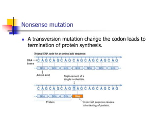Nns Mutation General account on Mutation and its types.ppt