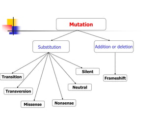 Transition Mutation Examples General account on Mutation and its types.ppt