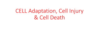CELL Adaptation, Cell Injury
& Cell Death
 