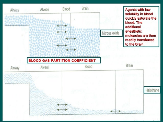 partition coefficient