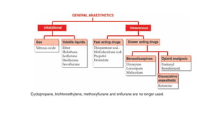 Comprehensive Overview of General Anaesthetics: Mechanisms, Agents, and ...