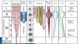 Dr. Subhash R. Yende 6
 