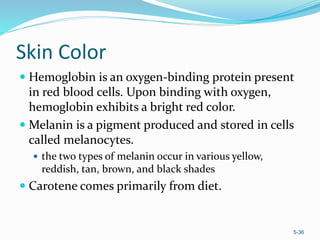 General anatomy | PPT