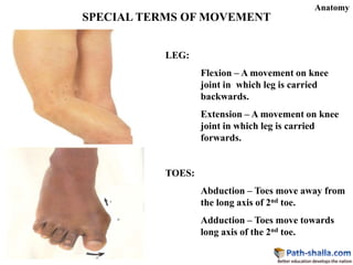 General anatomy 1 pathshalla | PPTX