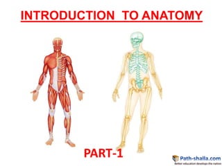 INTRODUCTION TO ANATOMY
PART-1
 
