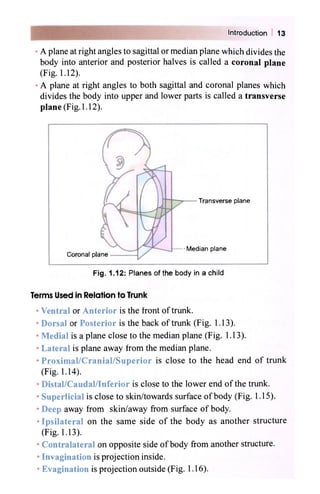 Halves Body Part General anatomy | PDF