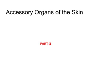 Accessory Organs of the Skin
PART-3
 