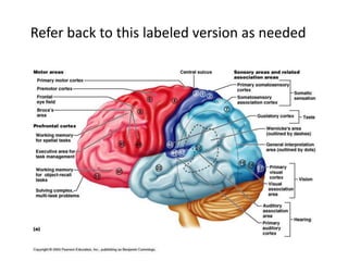 Refer back to this labeled version as needed
 