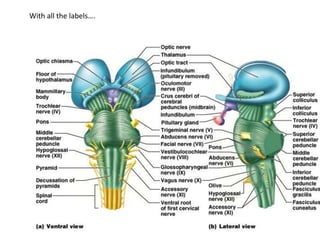 With all the labels….
 