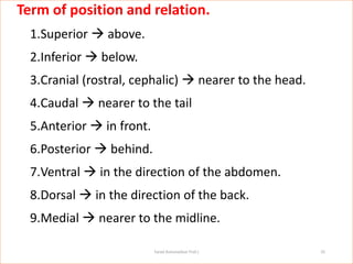 General Anatomy IN DETAIL 4Med Stdss.pdf