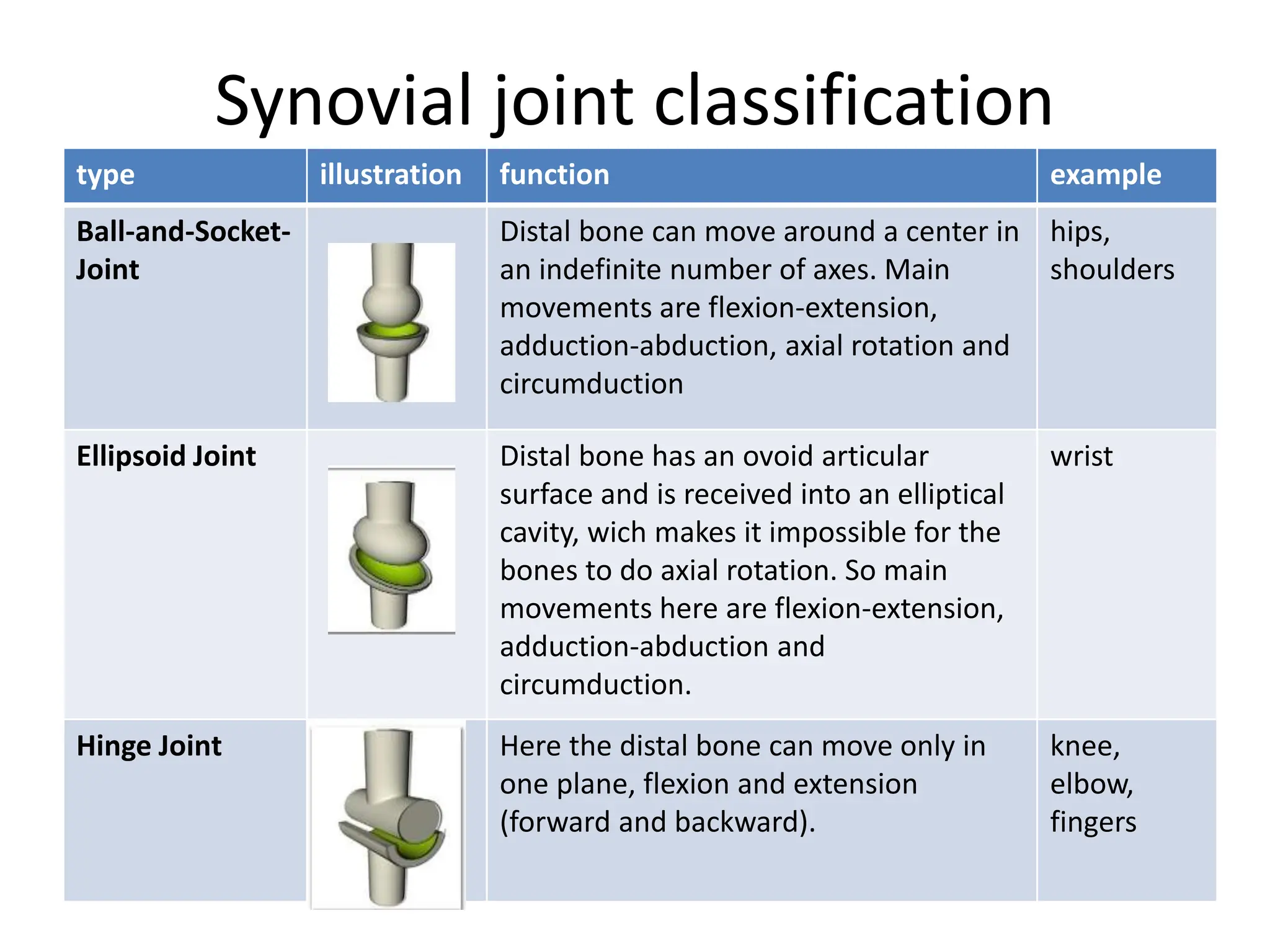 General anatomy and physiology bones.pptx