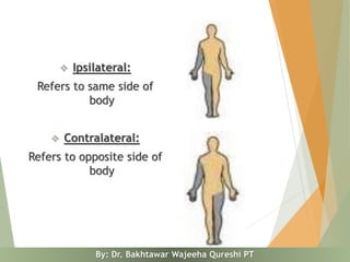General Anatomy Lecture Part I | PDF