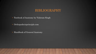 BIBLIOGRAPHY
• Textbook of Anatomy by Vishram Singh
• Orthopadecisprinciple.com
• Handbook of General Anatomy
 