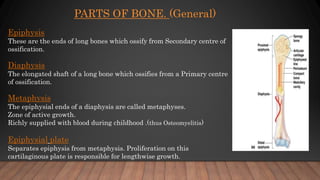 PARTS OF BONE. (General)
Epiphysis
These are the ends of long bones which ossify from Secondary centre of
ossification.
Diaphysis
The elongated shaft of a long bone which ossifies from a Primary centre
of ossification.
Metaphysis
The epiphysial ends of a diaphysis are called metaphyses.
Zone of active growth.
Richly supplied with blood during childhood .(thus Osteomyelitis)
Epiphysial plate
Separates epiphysis from metaphysis. Proliferation on this
cartilaginous plate is responsible for lengthwise growth.
 