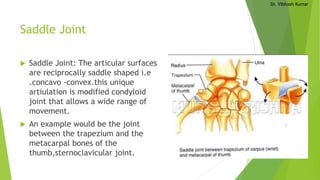 Dr. Vibhash Kumar
Saddle Joint
 Saddle Joint: The articular surfaces
are reciprocally saddle shaped i.e
.concavo -convex.this unique
artiulation is modified condyloid
joint that allows a wide range of
movement.
 An example would be the joint
between the trapezium and the
metacarpal bones of the
thumb,sternoclavicular joint.
 