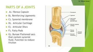 Dr. Vibhash Kumar
PARTS OF A JOINTS
 A). fibrous Capsule
 B). Reinforcing Ligaments
 C). Synovial membrane
 D). Articular Cartilage
 E). Articular Discs
 F). Fatty Pads
 G). Bursae Flattened sacs
that contain synovial
fluid. Function to reduce
friction
 