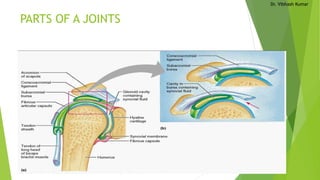 Dr. Vibhash Kumar
PARTS OF A JOINTS
 