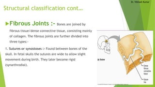 Dr. Vibhash Kumar
Structural classification cont…
Fibrous Joints :- Bones are joined by
fibrous tissue/dense connective tissue, consisting mainly
of collagen. The fibrous joints are further divided into
three types:-
1. Sutures or synostoses :- Found between bones of the
skull. In fetal skulls the sutures are wide to allow slight
movement during birth. They later become rigid
(synarthrodial).
 