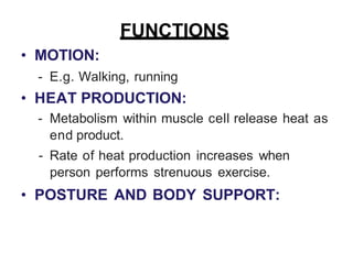 GENERAL ANATOMY OF MUSCLE DESCRIBE CLEARLY | PPTX