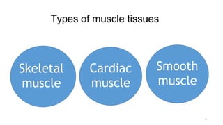 Introduction to General Anatomy of Muscle.pdf