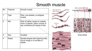 Smooth Muscle Labelling Introduction to General Anatomy of Muscle.pdf