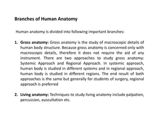 Introduction to basic anatomy of human body | PDF