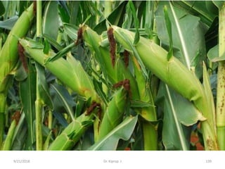 9/21/2018 Dr. Kiprop. J 139
 