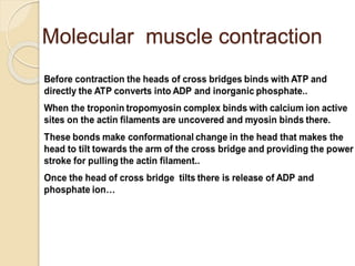 General and molecular mechanism of Muscle contraction | PPTX