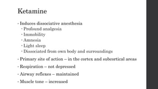 Ketamine
• Induces dissociative anesthesia
 Profound analgesia
 Immobility
 Amnesia
 Light sleep
 Dissociated from own body and surroundings
• Primary site of action – in the cortex and subcortical areas
• Respiration – not depressed
• Airway reflexes – maintained
• Muscle tone – increased
 