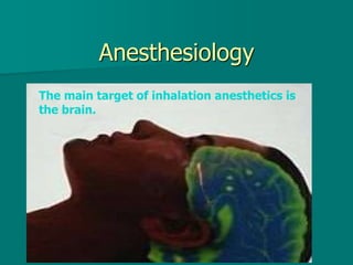 Anesthesiology
The main target of inhalation anesthetics is
the brain.
 