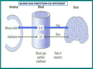 BLOOD GAS PARTITION CO-EFFICIENT
 