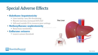 Special Adverse Effects
• Halothane: hepatotoxicity
• Liver toxicity: rare, life-threatening
• Massivenecrosis, increased AST/ALT
• Stillused outside US in resource-poorsettings
• Methoxyflurane: nephrotoxicity
• Renal-toxic metabolites
• Enflurane: seizures
• Lowers seizure threshold
Public Domain
AfraTafreeh.com
 