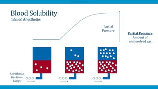 Blood Solubility
InhaledAnesthetics
Partial
Pressure
Anesthesia
Gas from
Lungs
Partial Pressure
Amount of
undissolved gas
AfraTafreeh.com
 