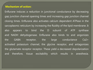 Enflurane induces a reduction in junctional conductance by decreasing
gap junction channel opening times and increasing gap junction channel
closing times. Enflurane also activates calcium dependent ATPase in the
sarcoplasmic reticulum by increasing the fluidity of the lipid membrane. It
also appears to bind the D subunit of ATP synthase
and NADH dehydogenase. Enflurane also binds to and angonizes
the GABA receptor, the large conductance Ca2+
activated potassium channel, the glycine receptor, and antagonizes
the glutamate receptor receptor. These yield a decreased depolarization
and therefore, tissue excitability which results in anesthesia.
Mechanism of action:
 