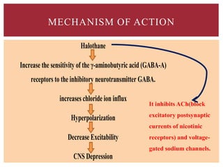 MECHANISM OF ACTION
Halothane
Increase the sensitivity of the γ-aminobutyric acid (GABA-A)
receptors to the inhibitory neurotransmitter GABA.
increases chloride ion influx
Hyperpolarization
Decrease Excitability
CNS Depression
It inhibits ACh(block
excitatory postsynaptic
currents of nicotinic
receptors) and voltage-
gated sodium channels.
 