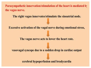Parasympathetic innervation/stimulation of the heart is mediated by
the vagus nerve.
The right vagus innervates/stimulate the sinoatrial node.
Excessive activation of the vagal nerve during emotional stress,
The vagus nerve acts to lower the heart rate.
vasovagal syncope due to a sudden drop in cardiac output
cerebral hypoperfusion and bradycardia
 