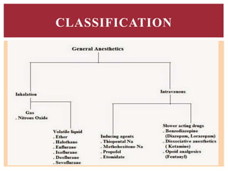 CLASSIFICATION
 
