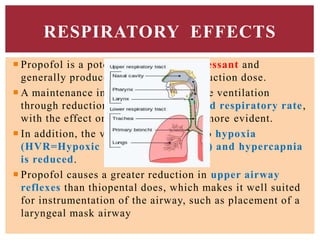  Propofol is a potent respiratory depressant and
generally produces apnea after an induction dose.
 A maintenance infusion reduces minute ventilation
through reductions in tidal volume and respiratory rate,
with the effect on tidal volume being more evident.
 In addition, the ventilatory response to hypoxia
(HVR=Hypoxic ventilatory response) and hypercapnia
is reduced.
 Propofol causes a greater reduction in upper airway
reflexes than thiopental does, which makes it well suited
for instrumentation of the airway, such as placement of a
laryngeal mask airway
RESPIRATORY EFFECTS
 