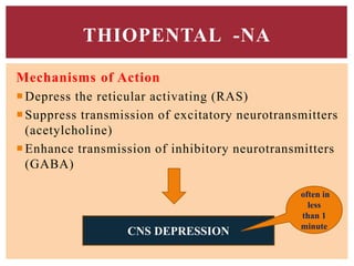 Mechanisms of Action
Depress the reticular activating (RAS)
Suppress transmission of excitatory neurotransmitters
(acetylcholine)
Enhance transmission of inhibitory neurotransmitters
(GABA)
THIOPENTAL -NA
CNS DEPRESSION
often in
less
than 1
minute
 