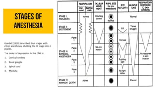 Stages of 
anesthesia 
Guedel (1920) described four stages with 
ether anesthesia, dividing the III stage into 4 
planes. 
The order of depression in the CNS is: 
1. Cortical centers 
2. Basal ganglia 
3. Spinal cord 
4. Medulla 
 