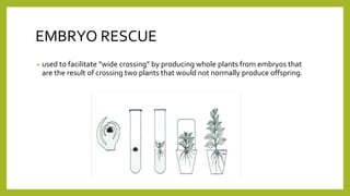 General applications of biotechnology in agriculture | PPTX