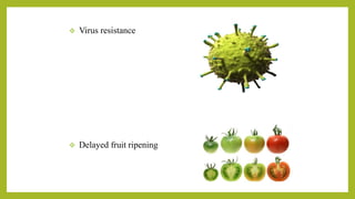 General applications of biotechnology in agriculture | PPTX