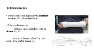 ii) Immobilization
• Immobilization is necessary to maintain
the bones in reduced position.
• This may be done by
- external immobilization such as
plaster etc., or
- internal fixation of the fracture
using rods, plates, screw etc.
 