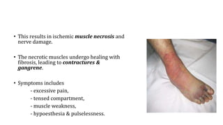 • This results in ischemic muscle necrosis and
nerve damage.
• The necrotic muscles undergo healing with
fibrosis, leading to contractures &
gangrene.
• Symptoms includes
- excessive pain,
- tensed compartment,
- muscle weakness,
- hypoesthesia & pulselessness.
 