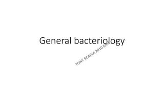 General bacteriology
 