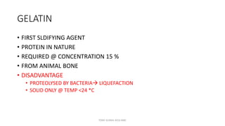 GELATIN
• FIRST SLDIFYING AGENT
• PROTEIN IN NATURE
• REQUIRED @ CONCENTRATION 15 %
• FROM ANIMAL BONE
• DISADVANTAGE
• PROTEOLYSED BY BACTERIA LIQUEFACTION
• SOLID ONLY @ TEMP <24 *C
TONY SCARIA 2010 KMC
 