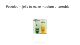 Petroleum jelly to make medium anaerobic
TONY SCARIA 2010 KMC
 