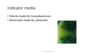 Indicator media
• Tellurite media for Corynebacterium
• Wilson blair media for salmonella
TONY SCARIA 2010 KMC
 