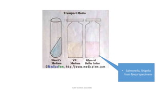 • Salmonella, Shigella
from faecal specimens
TONY SCARIA 2010 KMC
 